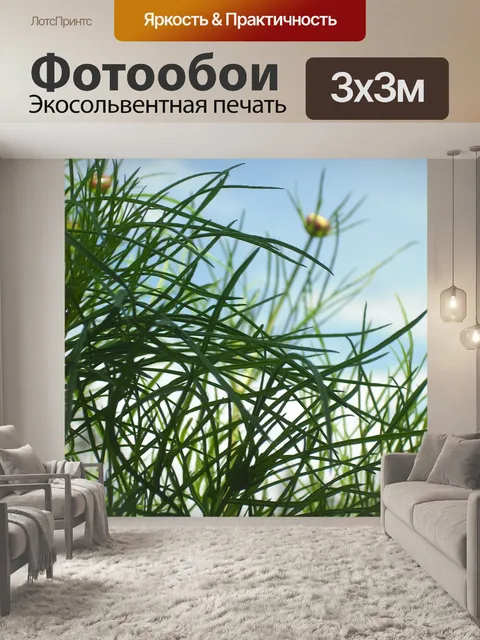 Фотообои Космос