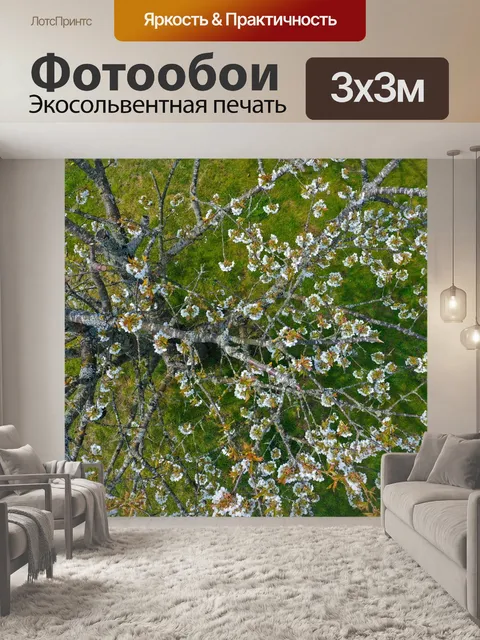 Фотообои Дерево