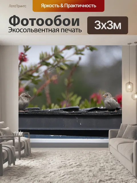 Фотообои Два воробья