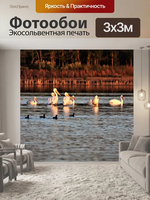 Фотообои Пеликаны и Кут осенью