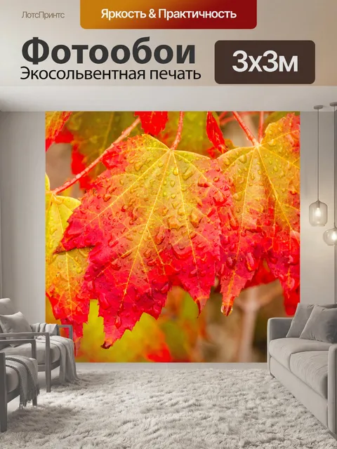 Фотообои красочные осенние листья