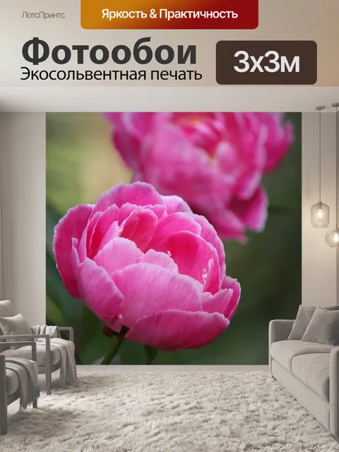Фотообои Пион