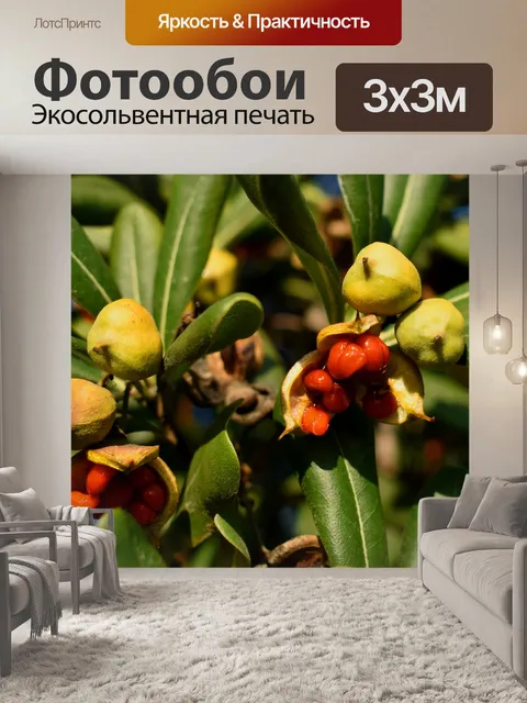 Фотообои Дерево