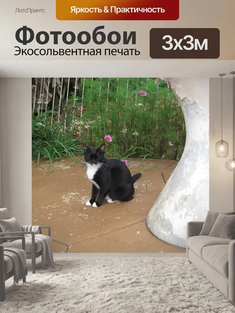Фотообои кошка с закрытыми глазами