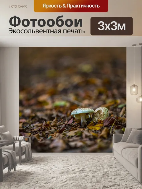 Фотообои грибы