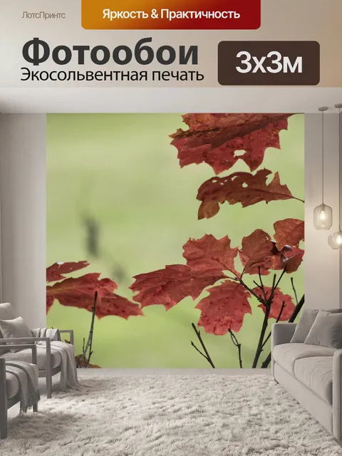 Фотообои Дубовый лист