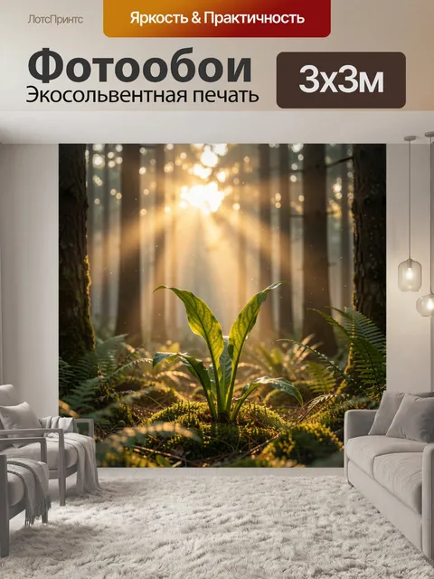 Фотообои Одинокий молодой папоротник в центре кадра