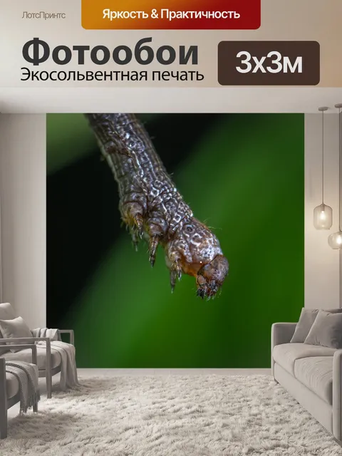 Фотообои Макро