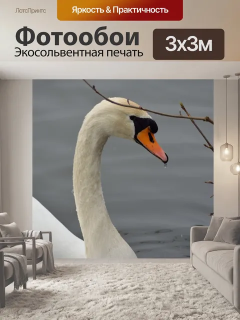 Фотообои Лебедь