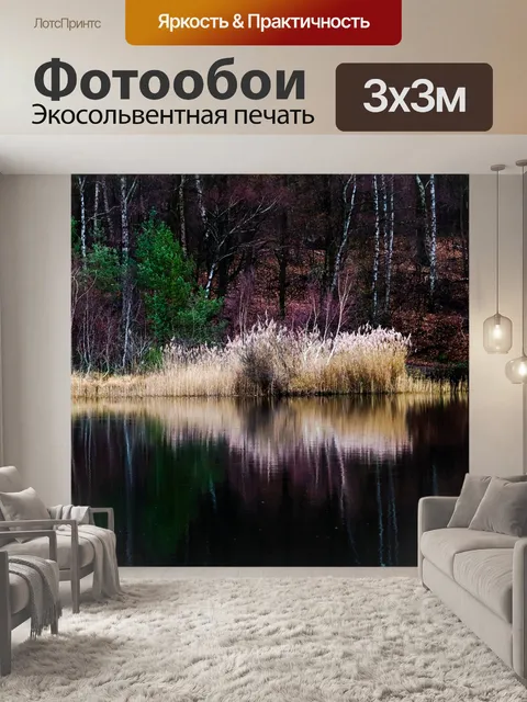 Фотообои Лес