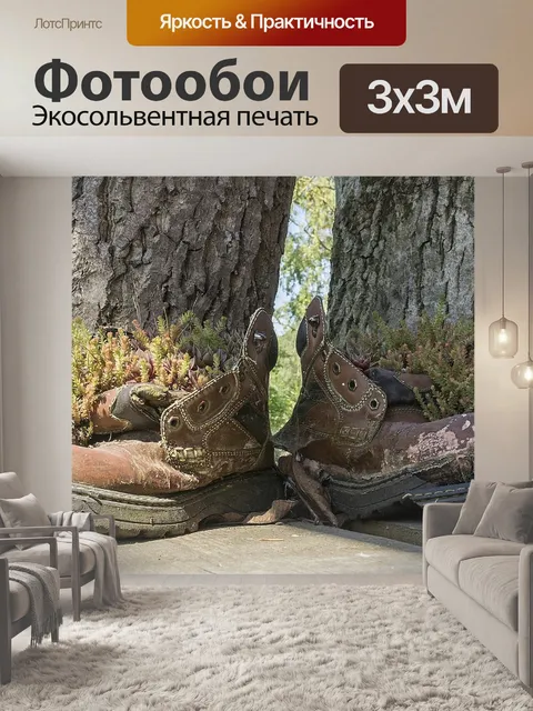 Фотообои Старые туфли