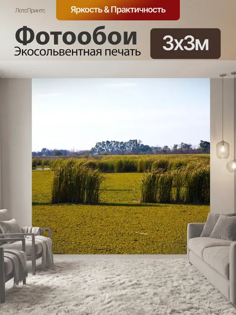 Фотообои Ранчо