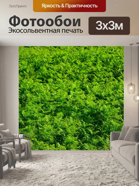 Фотообои папоротник
