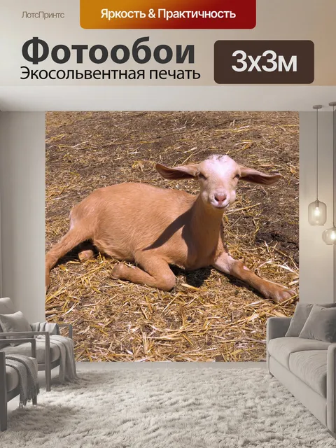 Фотообои Козленок