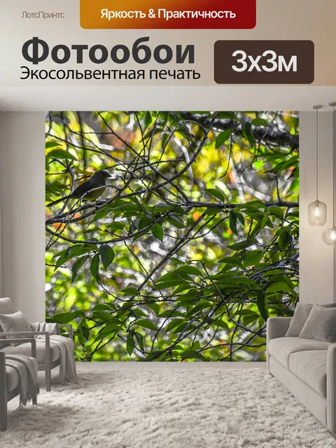 Фотообои Птица, разделенная веткой дерева