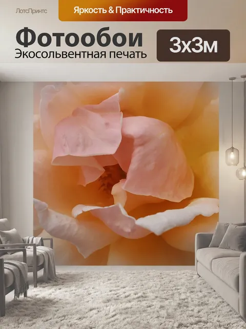 Фотообои Розовая роза
