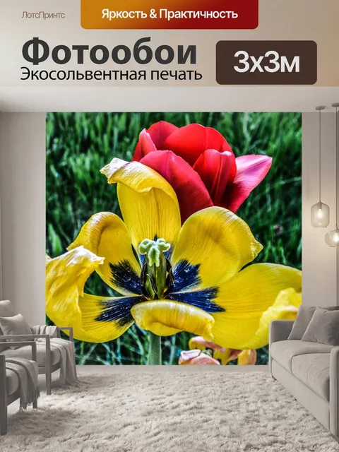 Фотообои Цветы