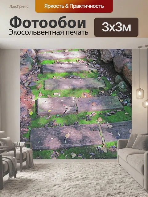 Фотообои проложенный путь с солнцем, теней и мха