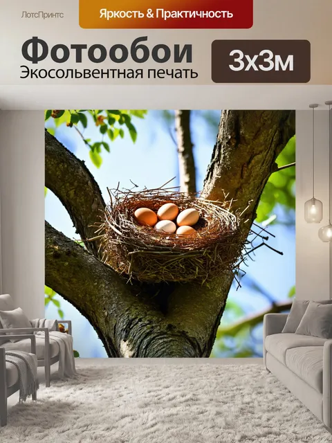 Фотообои коричневый гнездо, с яйцами, расположенное высоко на дереве