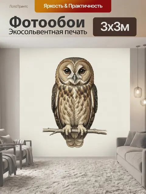 Фотообои Бурая сова на ветке