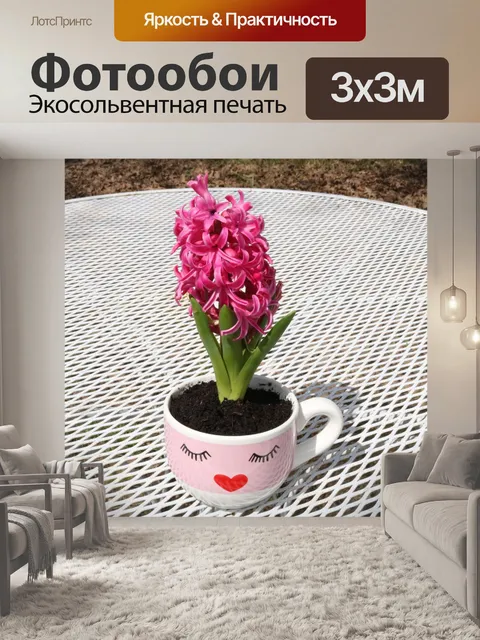 Фотообои Розовый гиацинт на белом столе