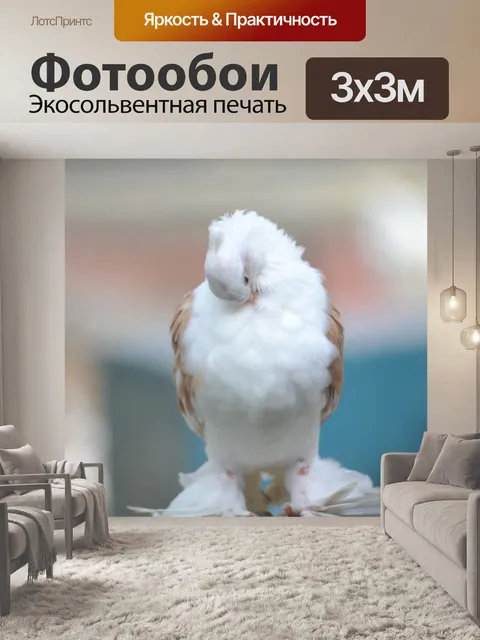 Фотообои Птица