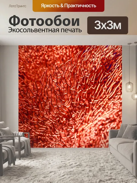 Фотообои красные кораллы