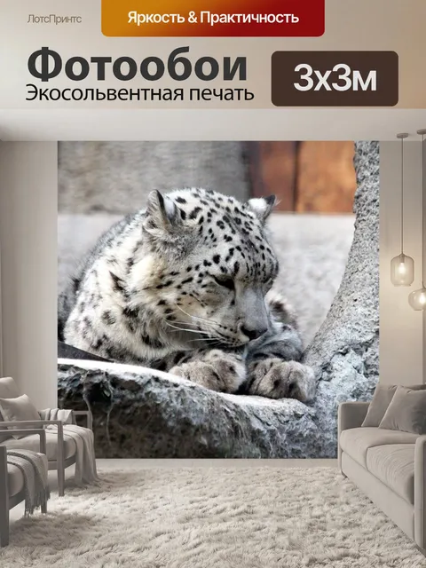 Фотообои Снежный барс