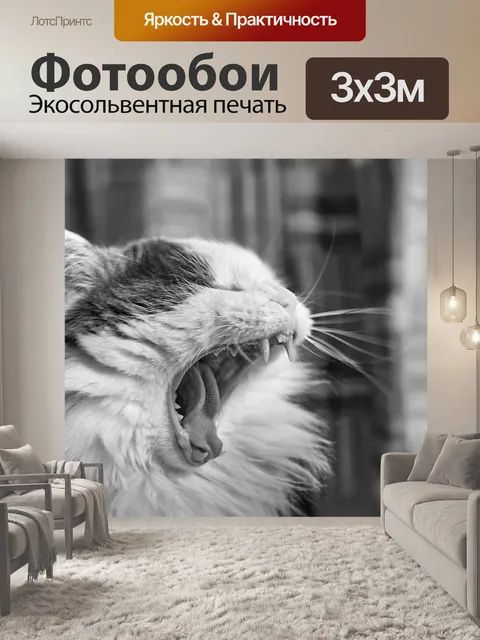 Фотообои Кошка