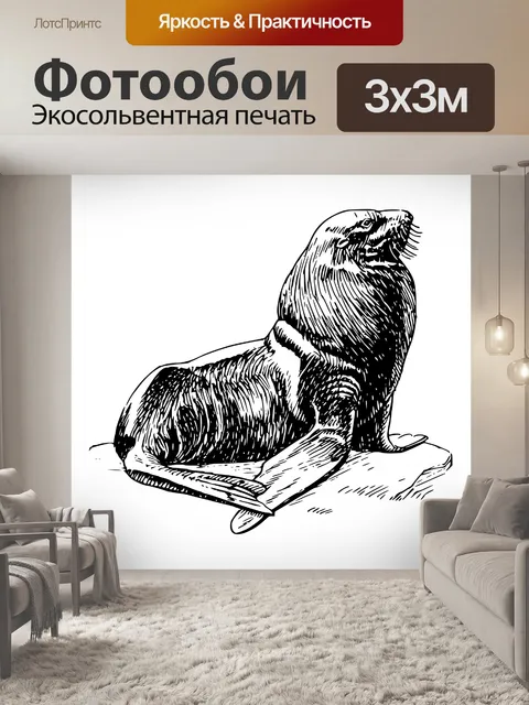 Фотообои Иллюстрация морской лев Клипарт