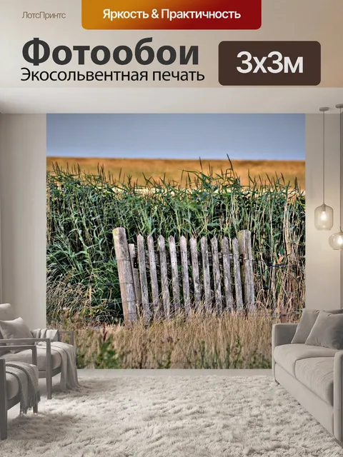 Фотообои Ворота