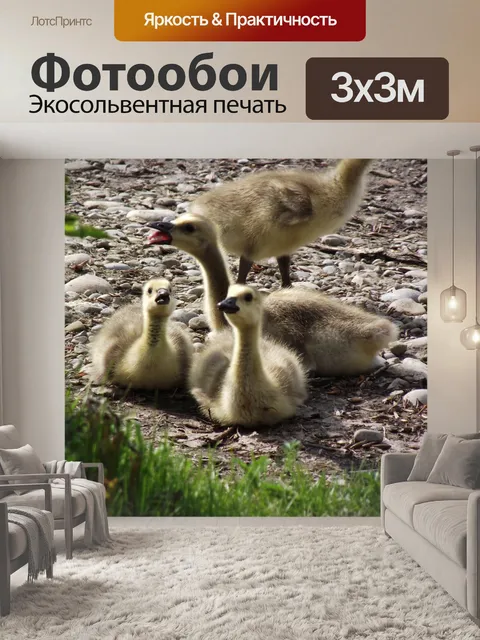 Фотообои Детские Goslings