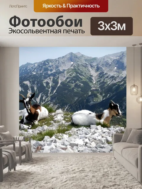 Фотообои Серна