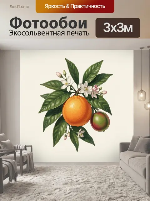 300 × 300 см · Экосольвентная печать