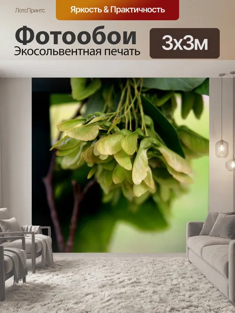 Фотообои клен семян стручки