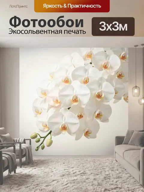 Фотообои Белые орхидеи на светлом фоне