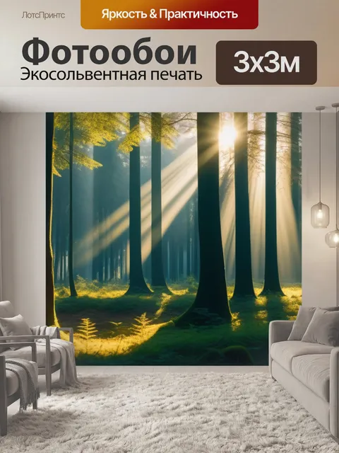 Фотообои лес, освещённый золотыми лучами солнца