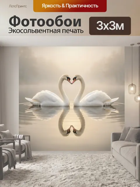 Фотообои Пара белых лебедей на воде