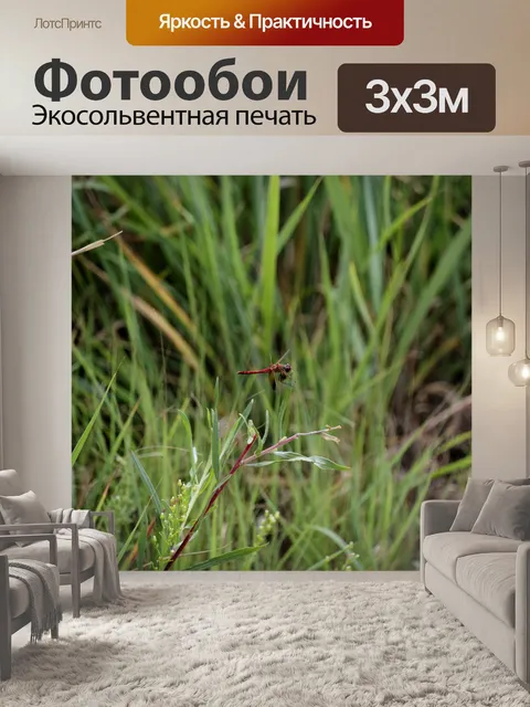 Фотообои Стрекоза на траве