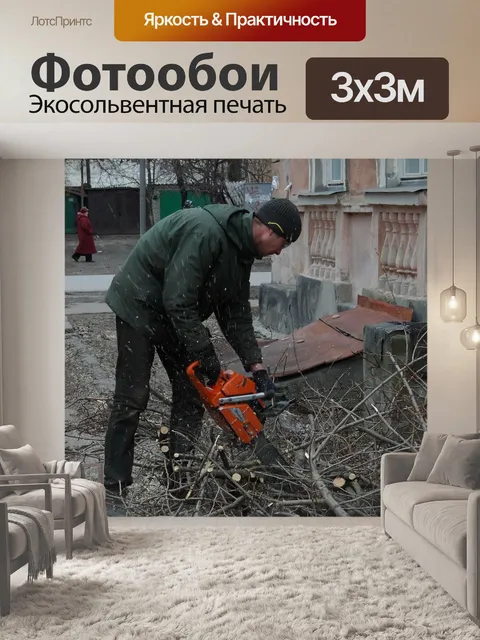 Фотообои Спил