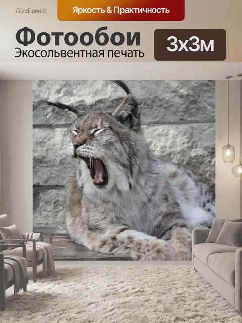 Фотообои Рысь