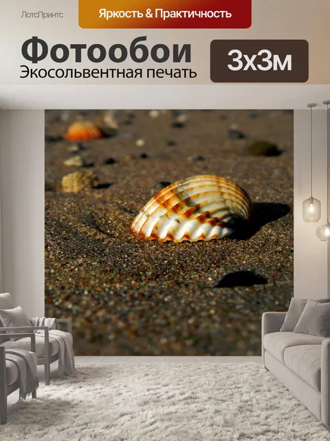 Фотообои Морская ракушка