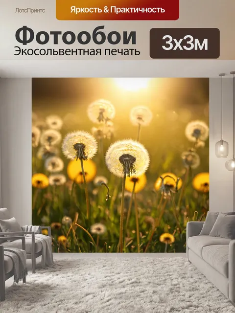Фотообои одуванчики в утреннем солнце