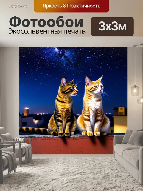 Фотообои коты на крыше в звездную ночь, глядя на небо