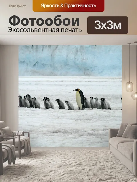 Фотообои Императорские пингвины