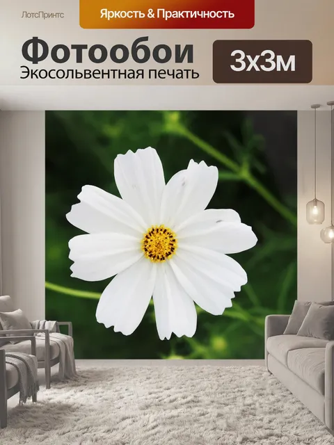 Фотообои Космос