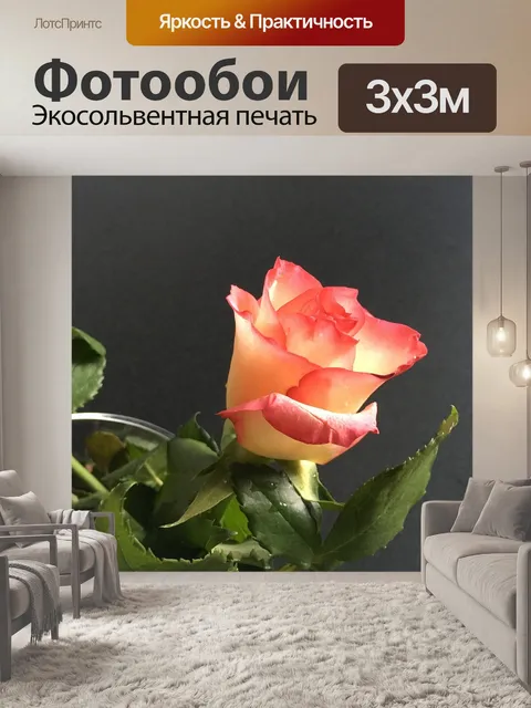 Фотообои Розы