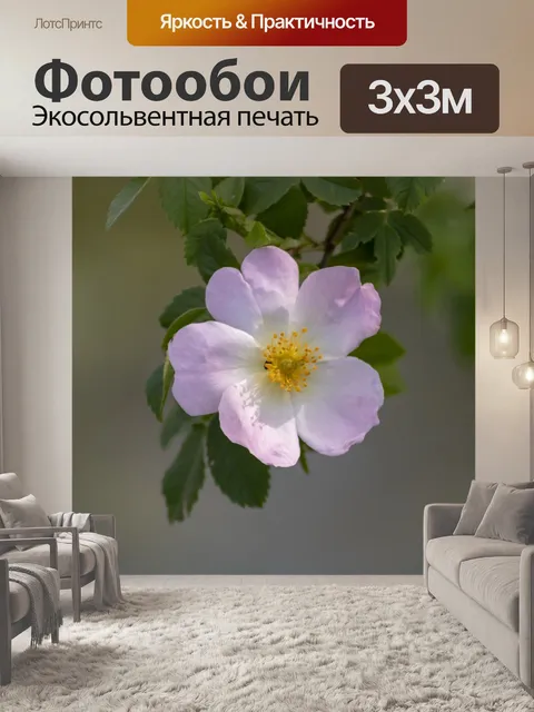 Фотообои Уайлдфлауэр
