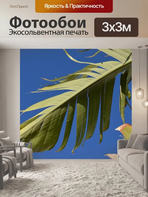 Фотообои Банановый лист