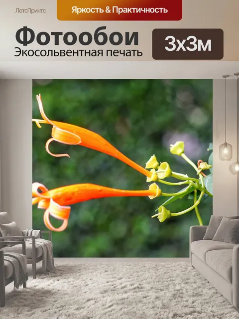 Фотообои Бразильской лианы пламени